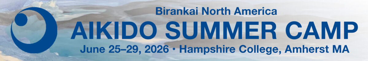 link to BNA Summer Camp web page