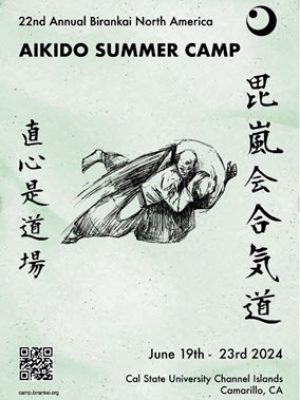 BNA Summer Camp 2024 poster 300x400
